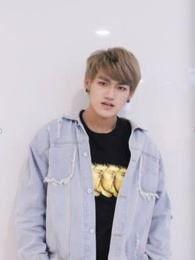 凡星资料,探寻宇宙奥秘的璀璨星辰之旅