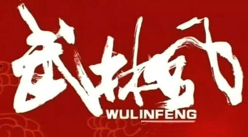 武林风是娱乐节目,激情四溢的武术娱乐盛宴