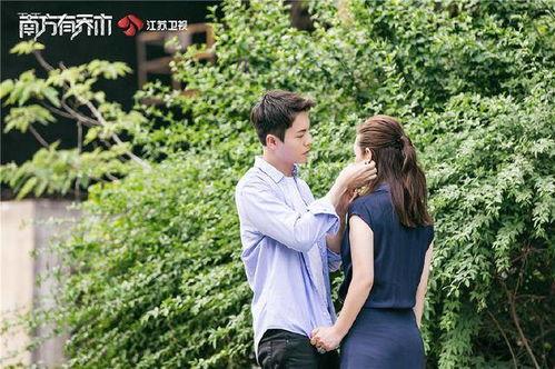 南方有乔木演员,实力派演员阵容演绎都市爱情传奇